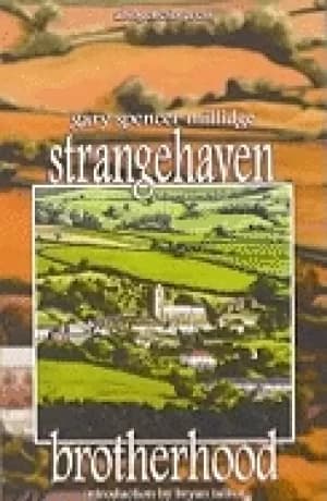 Image of strangehaven vol 2 brotherhood