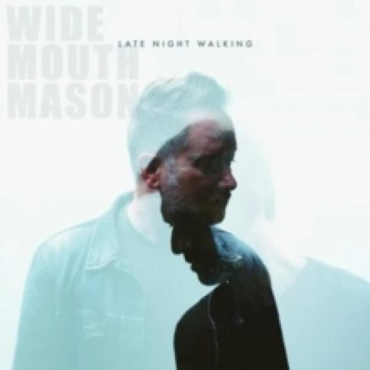 Image of Late night walking Vinyl