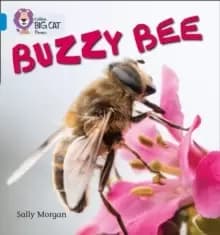 Image of Buzzy Bees : Band 04/Blue