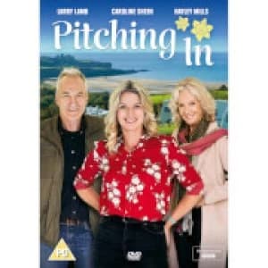 Image of Pitching In