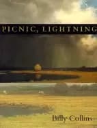 Image of picnic lightning