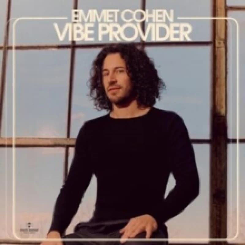 Image of Vibe Provider Vinyl
