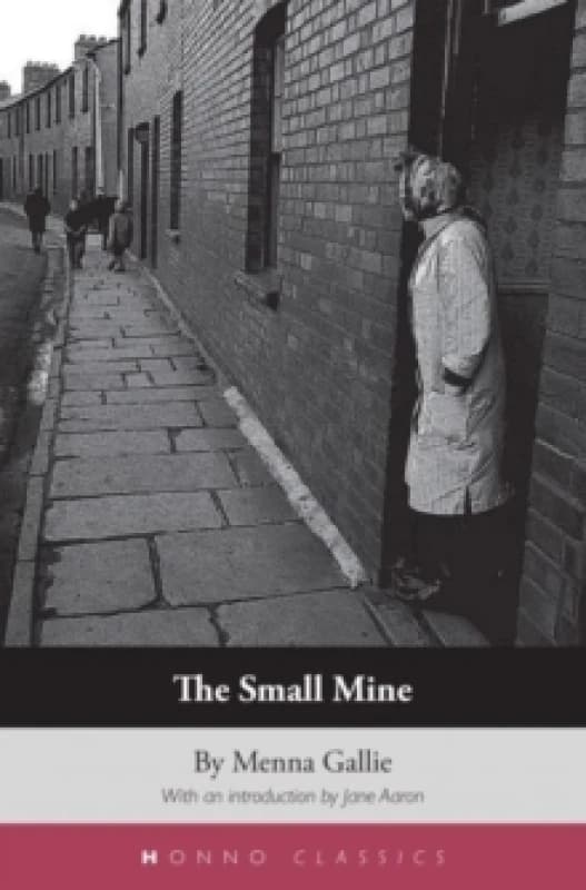Image of The Small Mine Paperback / softback