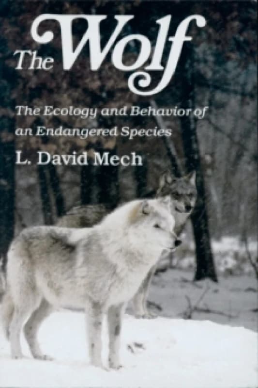 Image of The Wolf by David Mech Paperback
