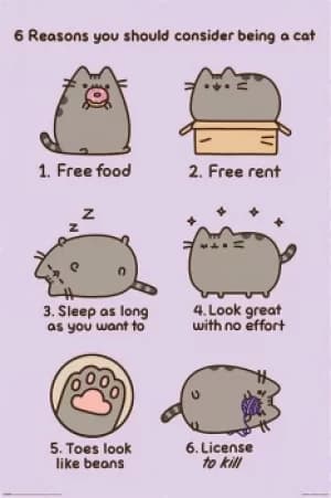 Image of Pusheen Reasons to be a cat Poster multicolour