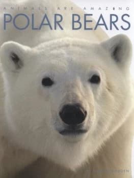 Image of Polar Bears by Valerie Bodden Hardback