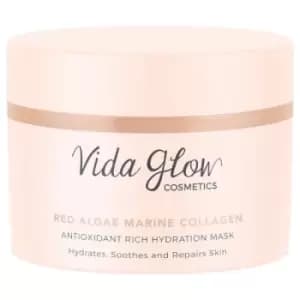 Image of Vida Glow Antioxidant Rich Hydration Mask - 45ml