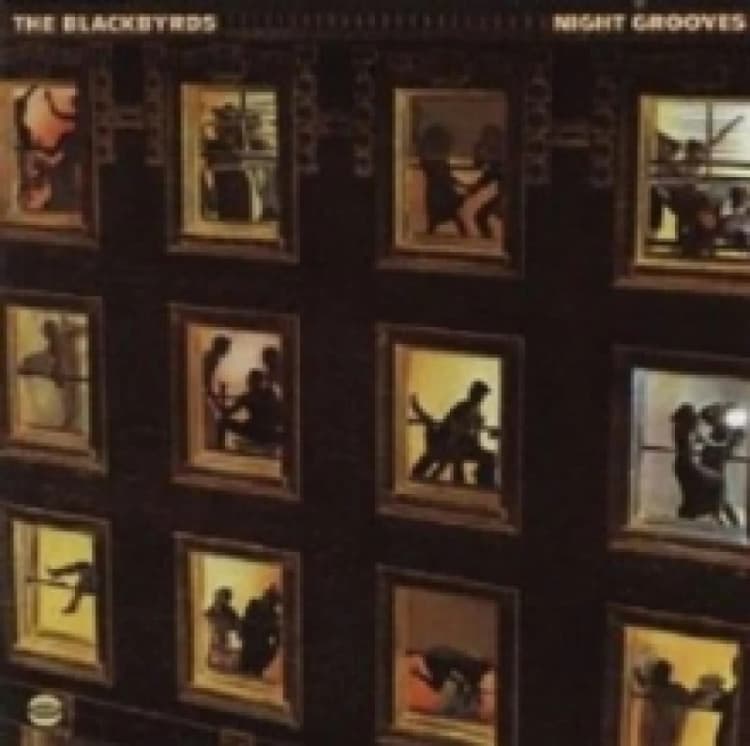 Image of Night Grooves Vinyl