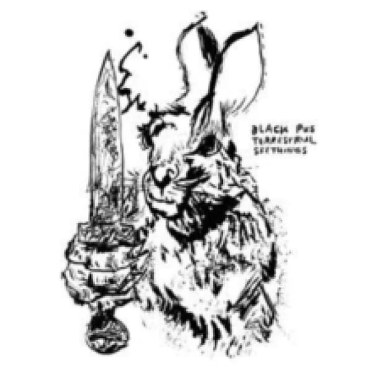 Image of Terrestrial Seethings CD / Album