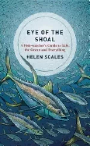 Image of eye of the shoal a fishwatchers guide to life the ocean and everything