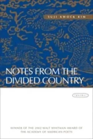 Image of notes from the divided country poems