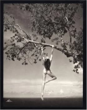 Image of Patrick Demarchelier by Patrick Demarchelier Hardback