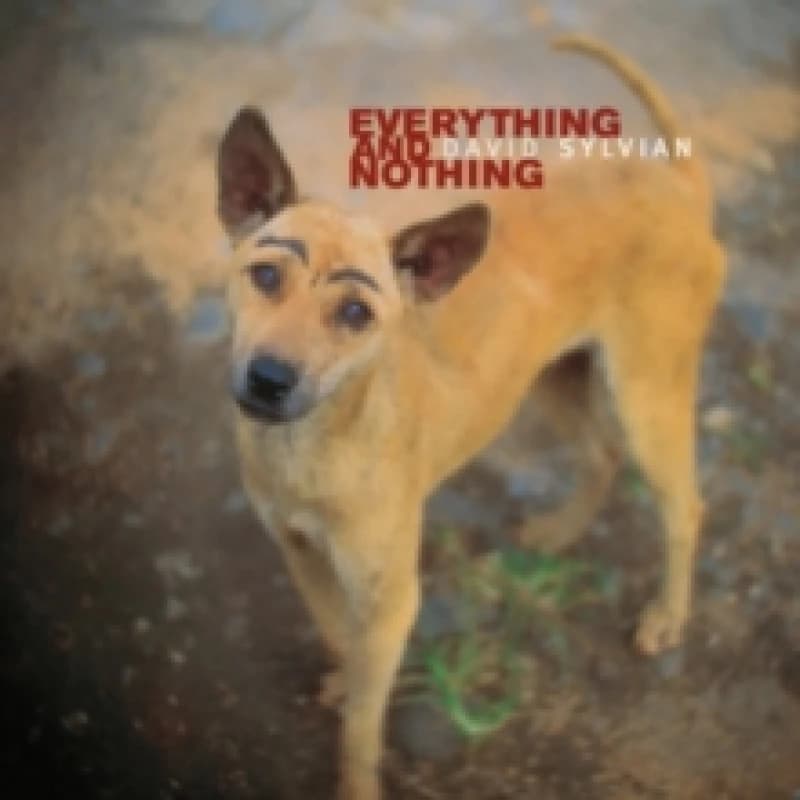 Image of Everything and Nothing Vinyl
