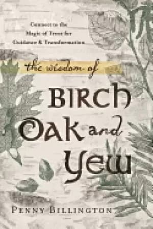 Image of wisdom of birch oak and yew connect to the magic of trees for guidance and
