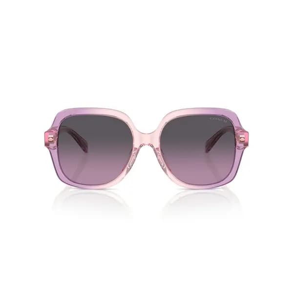 Image of Coach HC 8395U Sunglasses
