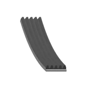 Image of Auxiliary Belt - Multi-Rib AD05R1815 by Blue Print