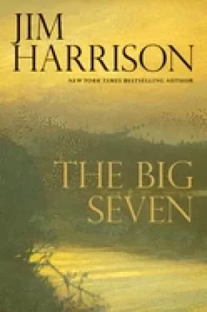 Image of big seven
