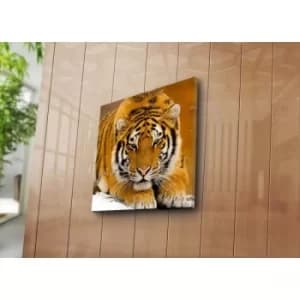 Image of 4545NAT-6 Multicolor Decorative Canvas Painting