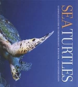 Image of Sea Turtles by James R Spotila Hardback