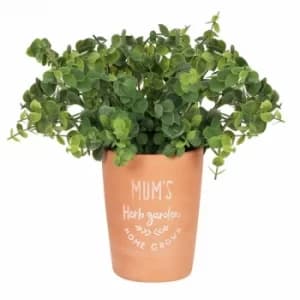 Image of Mum's Terracotta Garden Plant Pot