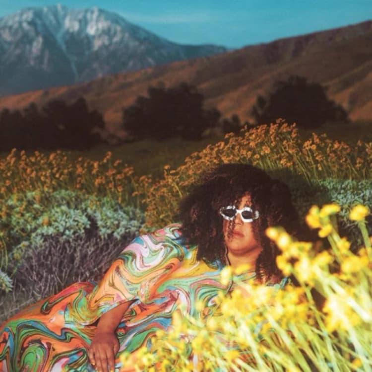 Image of Brittany Howard - WHAT NOW CD Album - Used
