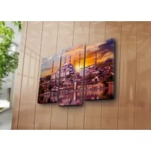 Image of 3PATK-45 Multicolor Decorative Canvas Painting (3 Pieces)