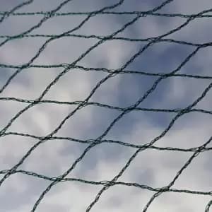 Image of Bird Netting - 6m width x 25m length