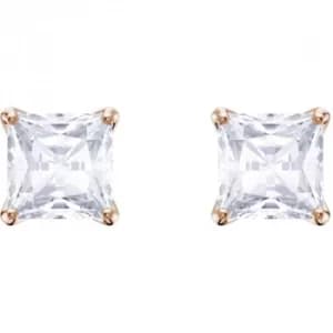 Image of Swarovski Attract Stud Earrings