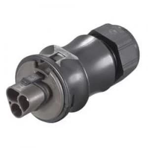 Image of Wieland 96.022.4053.1 Power Connector Gesis IP Series Number of pins 2