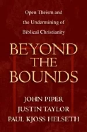Image of beyond the bounds open theism and the undermining of biblical christianity