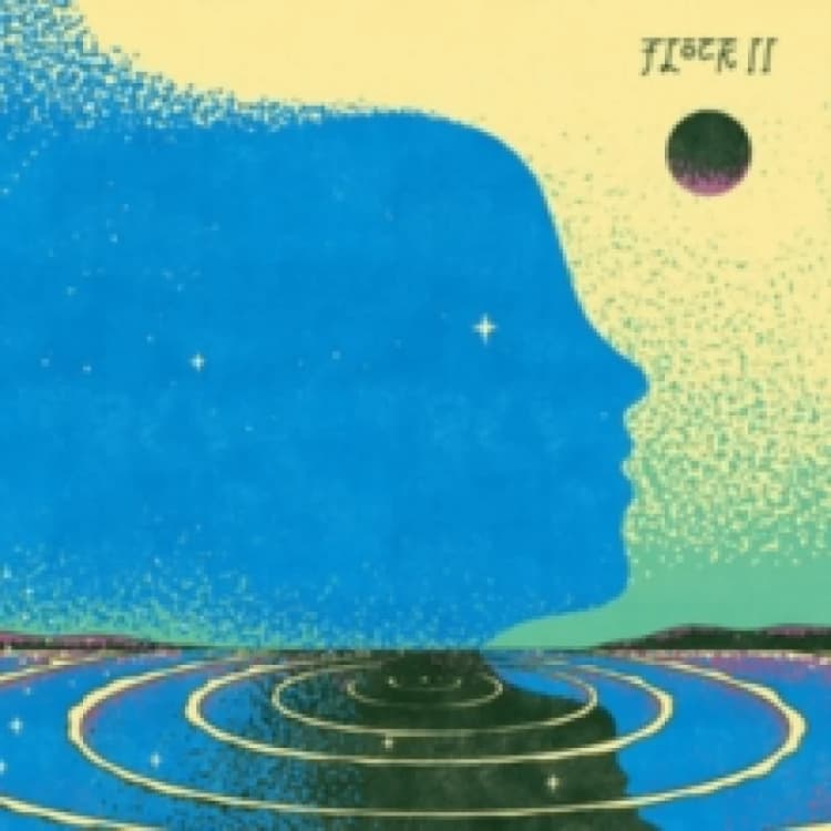 Image of Flock II Vinyl
