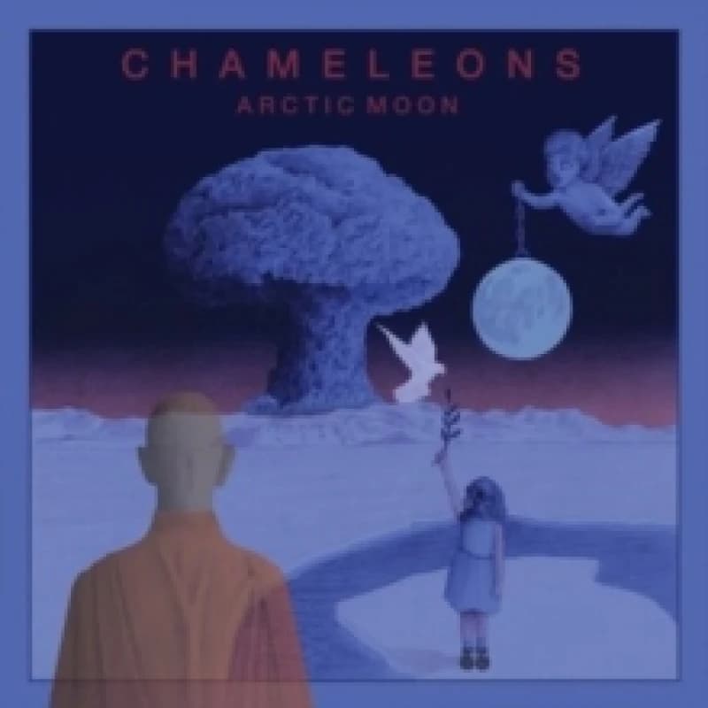 Image of Arctic moon Vinyl
