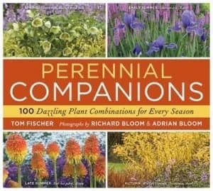 Image of Perennial Companions by Tom Fischer Paperback