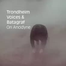 Image of On Anodyne
