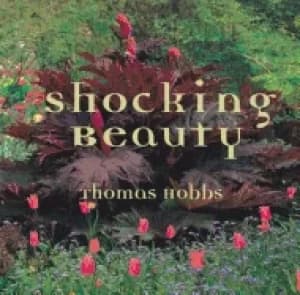 Image of shocking beauty