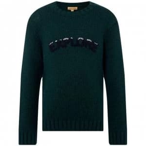 Image of Rock and Wilde Explorer Textured Crew - Green