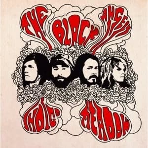 Image of The Black Angels - Indigo Meadow Vinyl