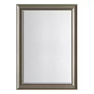 Image of Pesaro Mirror 74 x 104cm Antique Silver Silver