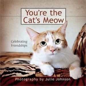 Image of Youre the Cats Meow by Debbie Cook Hardback