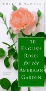 Image of Smith and Hawken 100 English Roses for the American Garden by Saxon Holt Paperback