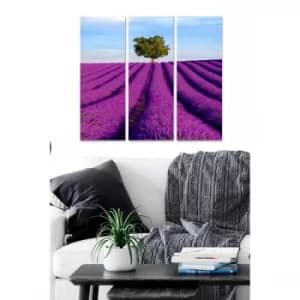 Image of MDF24592723 Multicolor Decorative MDF Painting (3 Pieces)