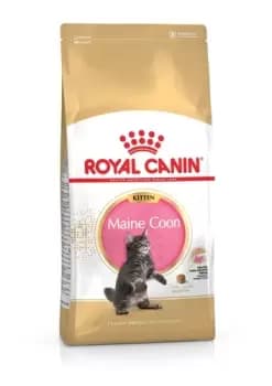 Image of Royal Canin Maine Coon Kitten Dry Food 4kg