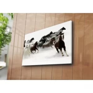 Image of 5070C-43 Multicolor Decorative Canvas Painting