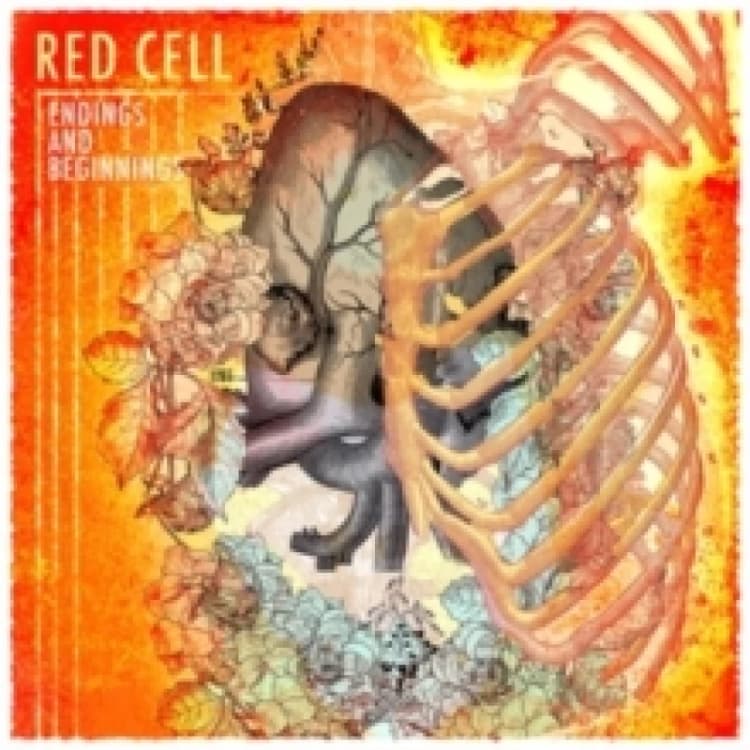 Image of Endings and beginnings CD / Album