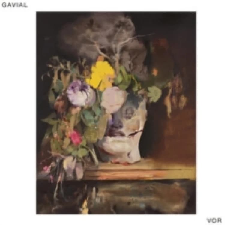 Image of VOR Vinyl