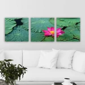 Image of PDR9904 Multicolor Decorative Canvas Painting (3 Pieces)