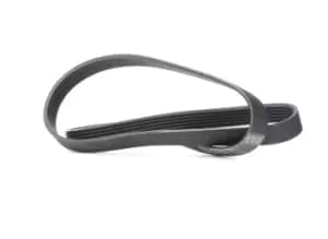 Image of SKF V-ribbed belt FIAT,PEUGEOT,TOYOTA VKMV 6PK1244 5750YX,5750YX,SU001A2685