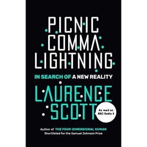 Image of Picnic Comma Lightning In Search of a New Reality Hardback 2018