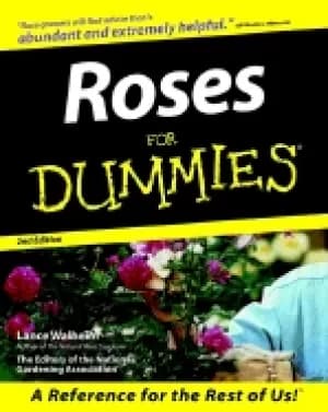 Image of roses for dummies