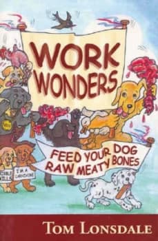 Image of Work Wonders by Tom Lonsdale Paperback